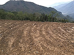 /date/2016/04/20/19land_2.jpg