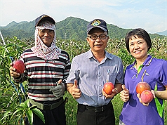 /date/2016/05/10/14mango_2.jpg