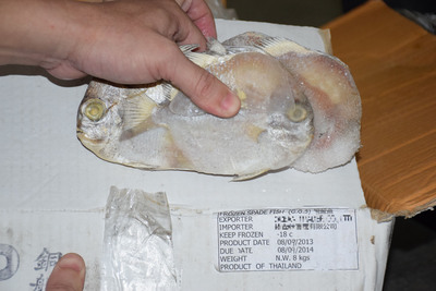 /date/2016/09/26/14fish_2.jpg