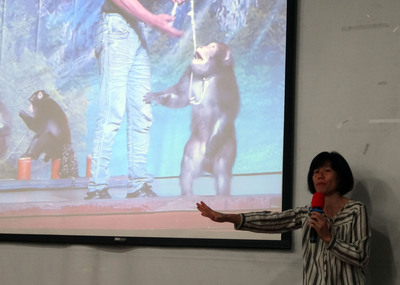 /date/2016/11/10/19monkey_2.jpg