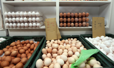 /date/2016/12/27/14egg_2.jpg