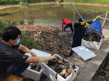 /date/2018/12/03/20crab_2.jpg