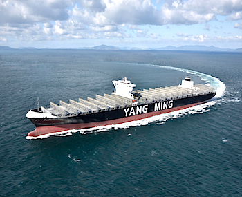/date/2018/12/25/13yangming_2.jpg
