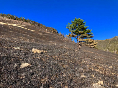 /date/2019/02/23/19mountain_2.jpg