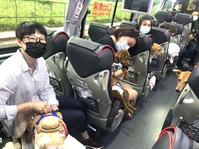 /date/2020/05/19/11liontravel_2.jpg