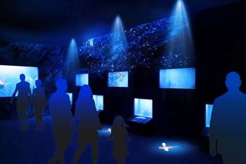 /date/2020/07/02/11aquarium_2.jpg