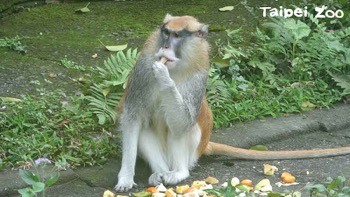/date/2021/03/17/18zoo_2.jpg
