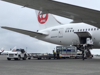 /date/2021/07/08/13JAL2_2.jpg