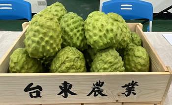 /date/2023/06/21/00sugerapple_2.jpg