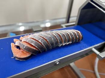 /date/2023/10/31/00salmon_2.jpg