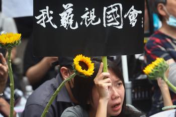 /date/2024/05/22/00sunflower_2.jpg