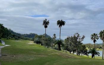 /date/2024/11/29/20golf_2.jpg