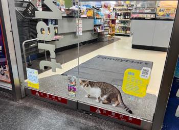 /date/2025/02/24/20cat_2.jpg